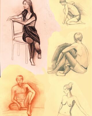 img3370053.png