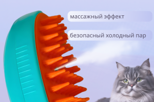 Паровая щётка