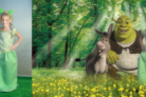 индивидуальный коллаж (Фиона)