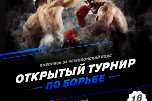 Баннер для “Wrestling Liga”