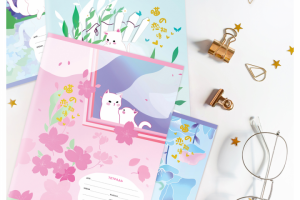 Школьные тетради "Meshu"