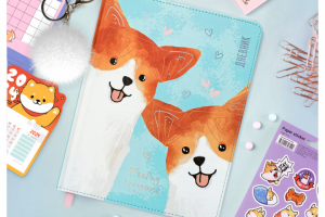 Школьные дневники "MESHU"