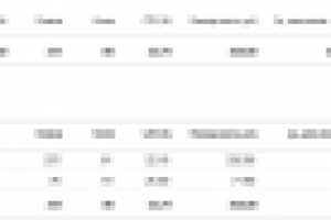 ДИРЕКТ: Франшиза быстропита "Його-Бар"