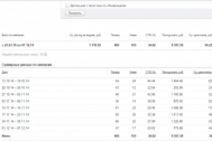 ДИРЕКТ: МРТ для Животных. Рекламная кампания в Яндекс Директ