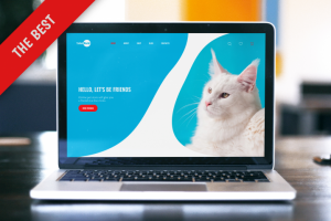 Дизайн сайта зоомагазина