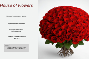 Сайт для интернет магазина