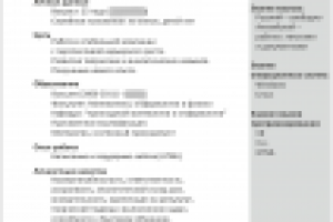 Резюме, с успехом прошедшее собеседование