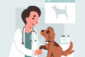 Ветеринар векторная иллюстрация