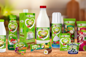 Концепция для новой торговой марки