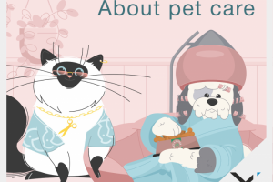 Бренд видео о товарах для животных Paco&Pepper