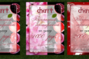 Сертификат для салона красоты