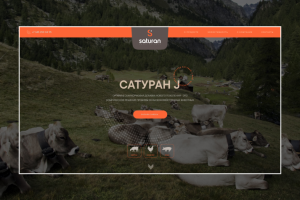 Landing page для компании Сатуран J