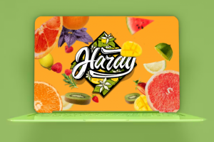 Анимация Landing "Hardy"