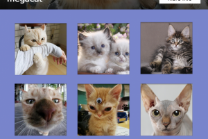 пример оформления сайта с котиками