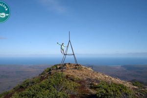 Видео для соцсетей