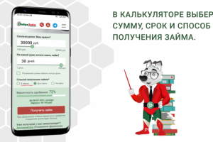 Эксплейнер Доброзайм