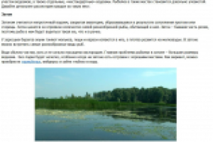 Какие бывают водоемы?