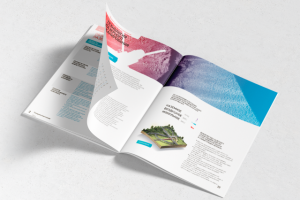 Брошюра по лазерному сканированию (рус./eng.)