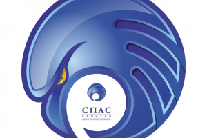 Название, домены, логотип для СпасКапитал
