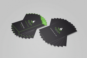 Логотип и визитка для Кудесник