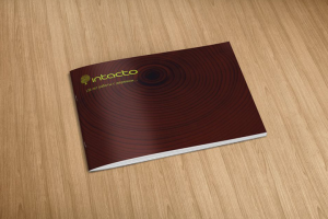 Презентационная брошюра для Intacto