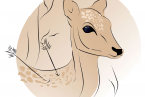 Работа 2591823