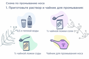 Иллюстрации для бренда "Эмфлора"