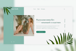 LaserStudio. Concept