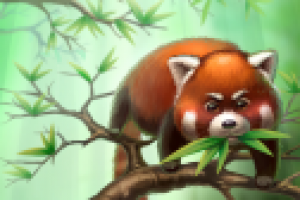 Красная панда