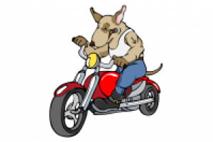 Работа 1763825