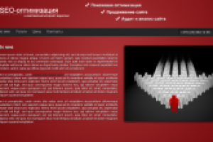 Сайт визитка SEO-оптимизатора