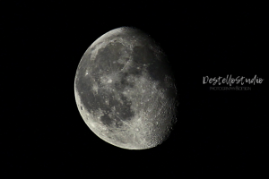 Работа 3349496