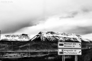 Работа 3343318