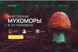 Продажа мухоморов