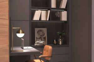 Мини кабинет. Квартира на Дмитровском шоссе.