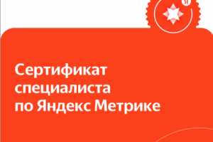 Яндекс Метрика 2024