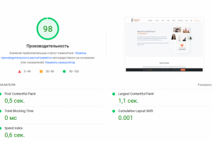 Оптимизация famelab.pro