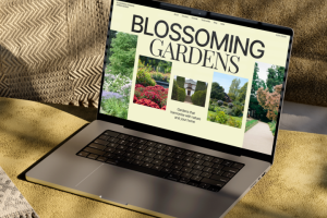 UX/UI design | LANDING PAGE