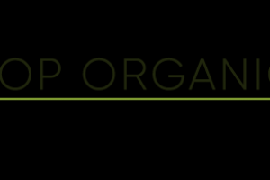 Лого Топ Органик