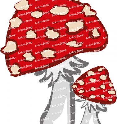 img4223342.png
