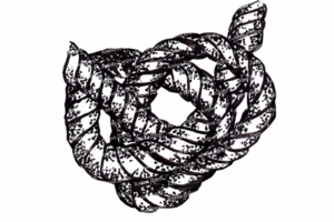 Узел