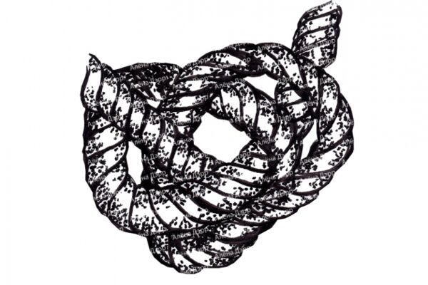 img4239282.png