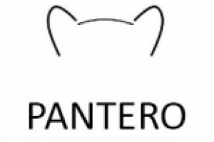 Разработка названия и Логотипа: PАNTERO