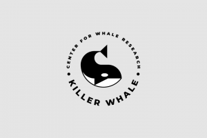 Работа 3721763