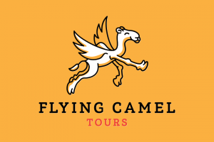 Работа 2880378