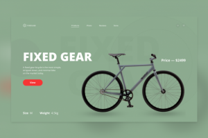 Fixed Gear