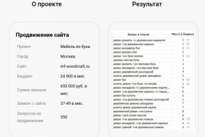 Продвижение по запросам woodcraft.ru