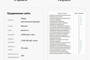 Продвижение по запросам ptomet.ru