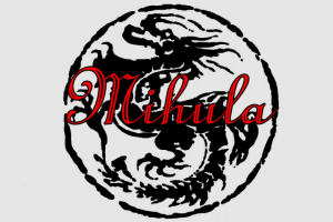 Разработать логотип для кибер спортсмена