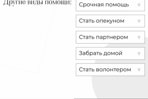Дизайн сайта для приюта
